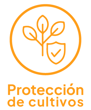 PROTECCION CULTIVO